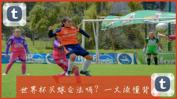世界杯买球合法吗？一文读懂背后的法律风险与边界