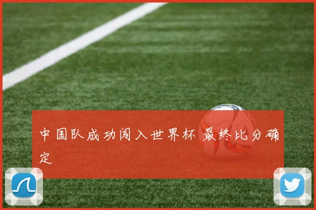 中国队成功闯入世界杯 最终比分确定