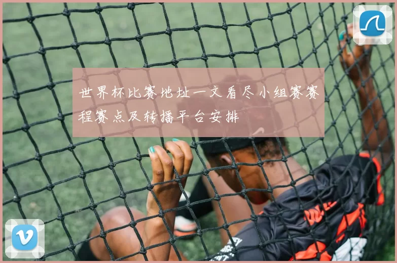 世界杯比赛地址一文看尽小组赛赛程赛点及转播平台安排
